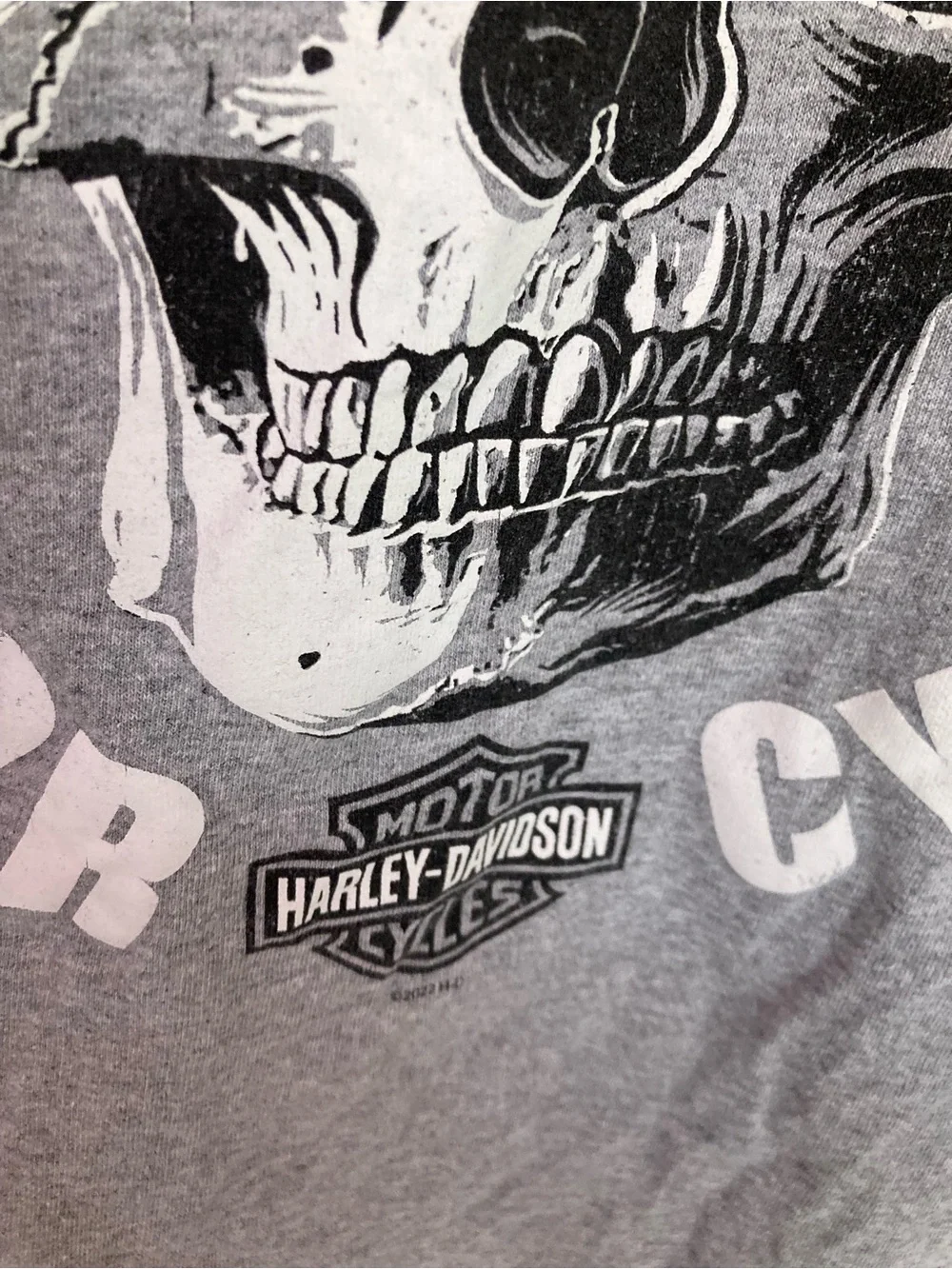 Harley-Davidson Gray Long Sleeve Skull Logo Tee
